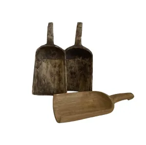 Rice Elm Scoop